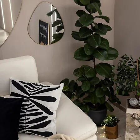 Lejlighed Alexandradesignsuite -eleganza A Due Passi Dal Centro Carpi